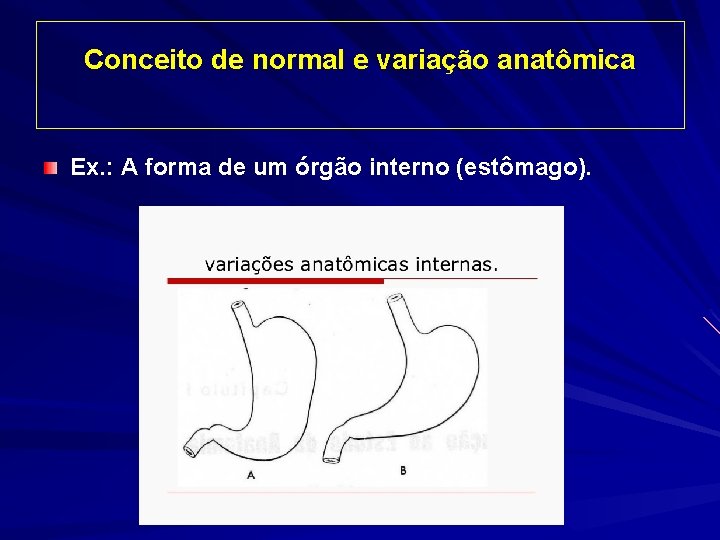 Conceito de normal e variação anatômica Ex. : A forma de um órgão interno