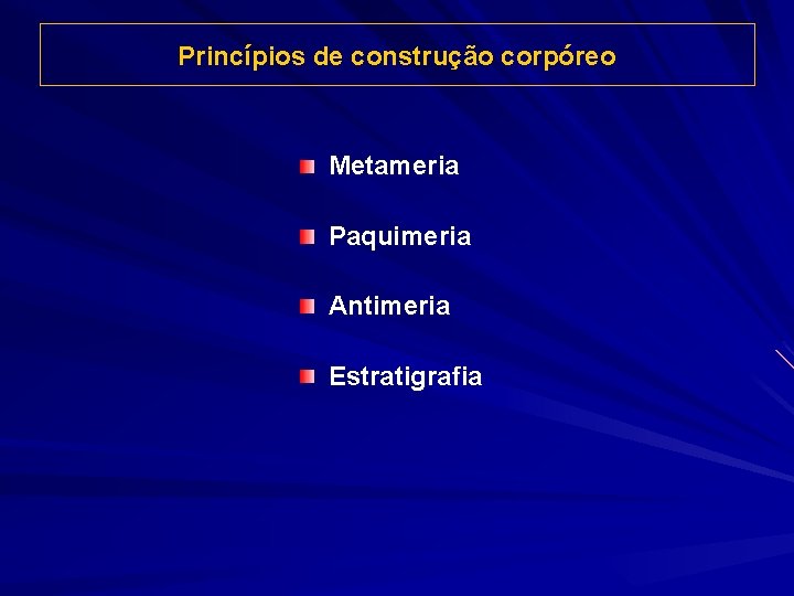 Princípios de construção corpóreo Metameria Paquimeria Antimeria Estratigrafia 