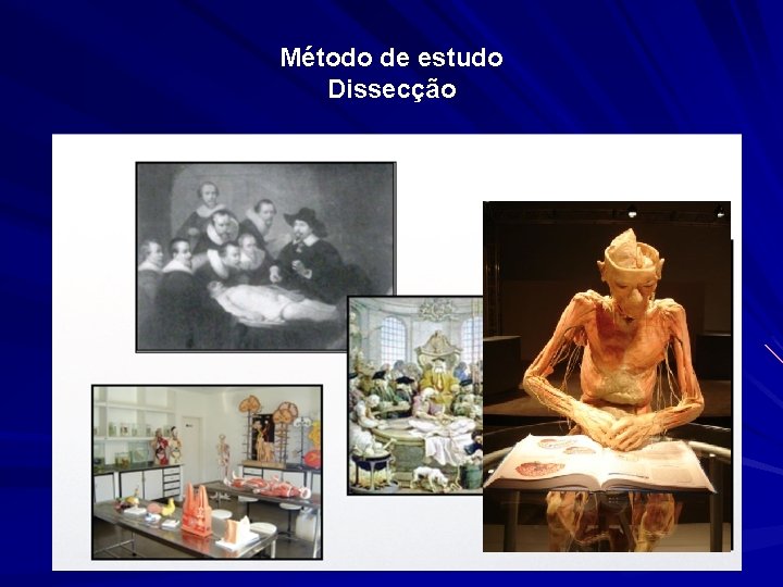 Método de estudo Dissecção 