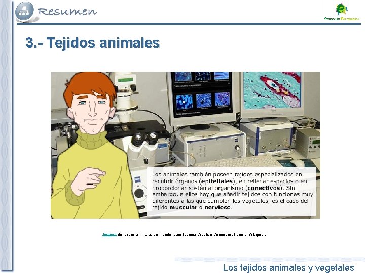 3. - Tejidos animales Imagen de tejidos animales de monitor bajo licencia Creative Commons,