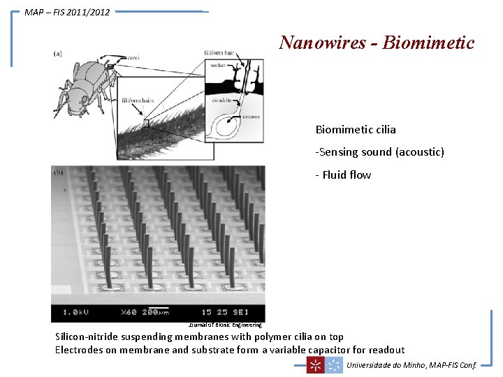 MAP – FIS 2011/2012 Nanowires - Biomimetic cilia -Sensing sound (acoustic) - Fluid flow