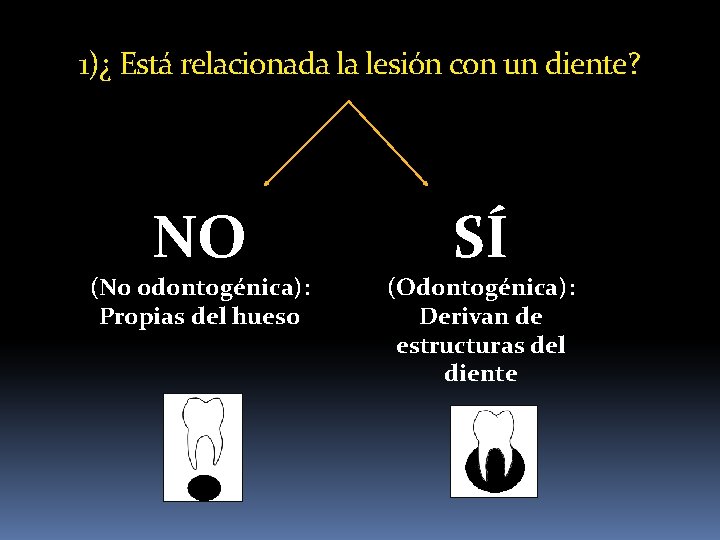 1)¿ Está relacionada la lesión con un diente? NO (No odontogénica): Propias del hueso 1)¿ Está relacionada la lesión con un diente? NO (No odontogénica): Propias del hueso