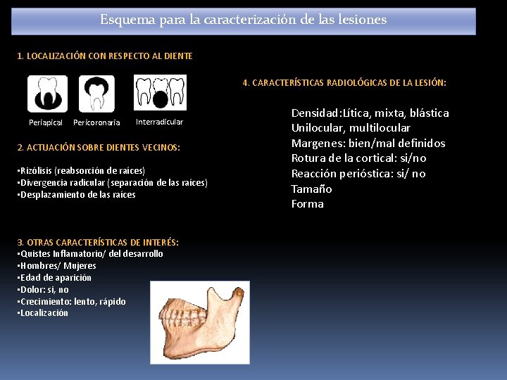 Esquema para la caracterización de las lesiones 1. LOCALIZACIÓN CON RESPECTO AL DIENTE 4. Esquema para la caracterización de las lesiones 1. LOCALIZACIÓN CON RESPECTO AL DIENTE 4.