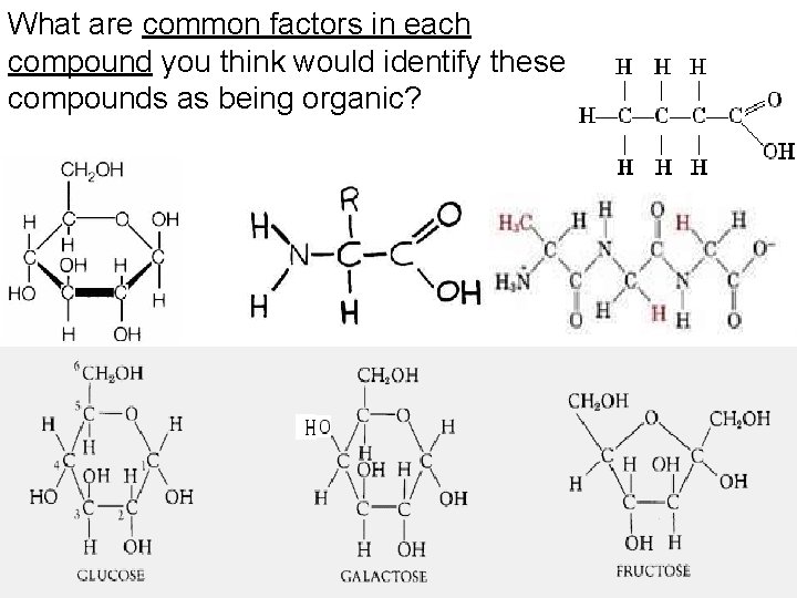 What are common factors in each compound you think would identify these compounds as