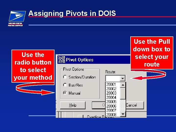 Assigning Pivots in DOIS Use the radio button to select your method Use the Assigning Pivots in DOIS Use the radio button to select your method Use the