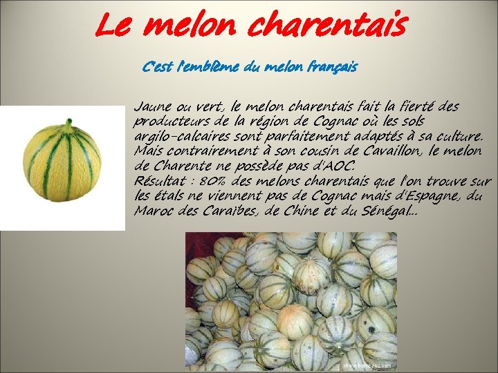 Le melon charentais C'est l'emblème du melon français Jaune ou vert, le melon charentais