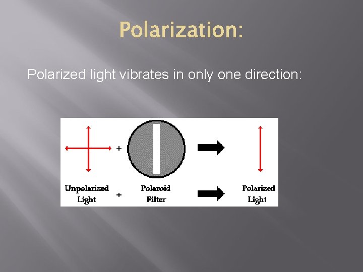 Polarized light vibrates in only one direction: Polarized light vibrates in only one direction: