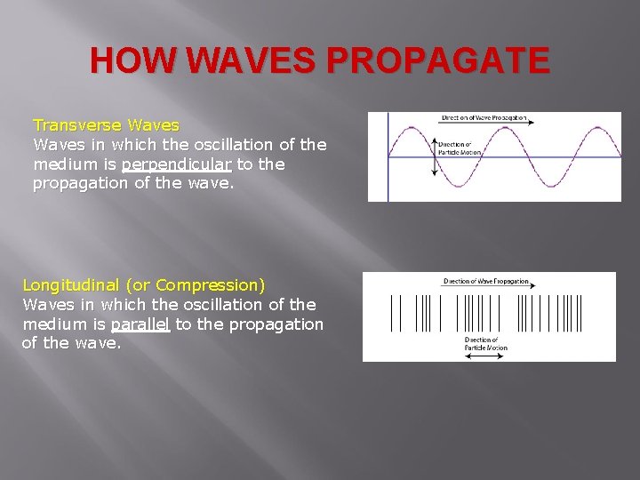 HOW WAVES PROPAGATE Transverse Waves in which the oscillation of the medium is perpendicular HOW WAVES PROPAGATE Transverse Waves in which the oscillation of the medium is perpendicular