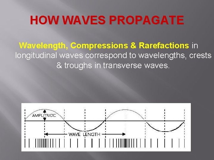 HOW WAVES PROPAGATE Wavelength, Compressions & Rarefactions in longitudinal waves correspond to wavelengths, crests HOW WAVES PROPAGATE Wavelength, Compressions & Rarefactions in longitudinal waves correspond to wavelengths, crests