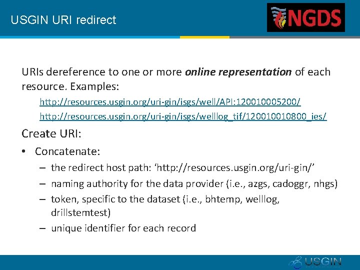 USGIN URI redirect URIs dereference to one or more online representation of each resource.
