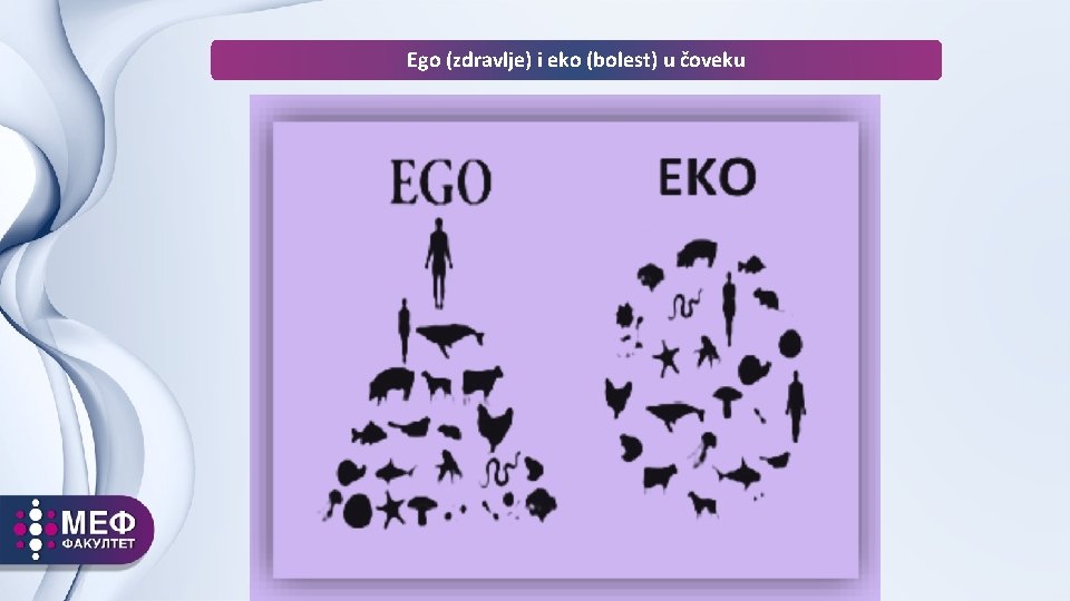 Ego (zdravlje) i eko (bolest) u čoveku 
