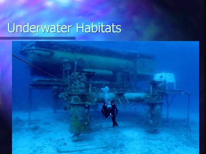 Underwater Habitats 