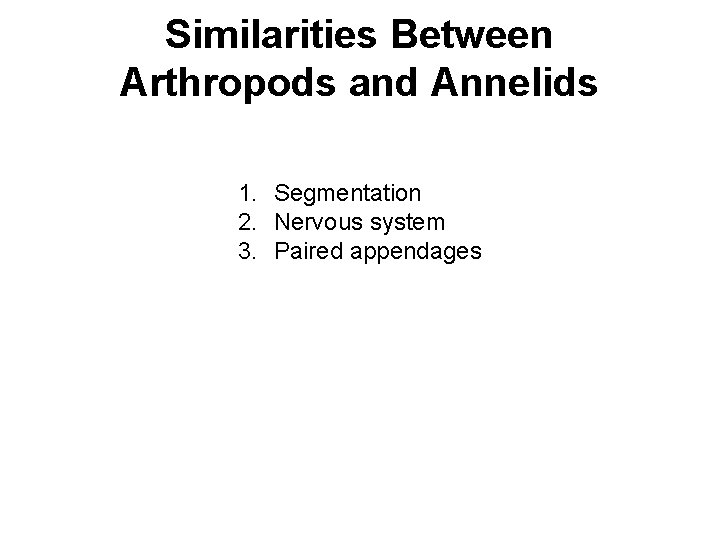 Similarities Between Arthropods and Annelids 1. Segmentation 2. Nervous system 3. Paired appendages 