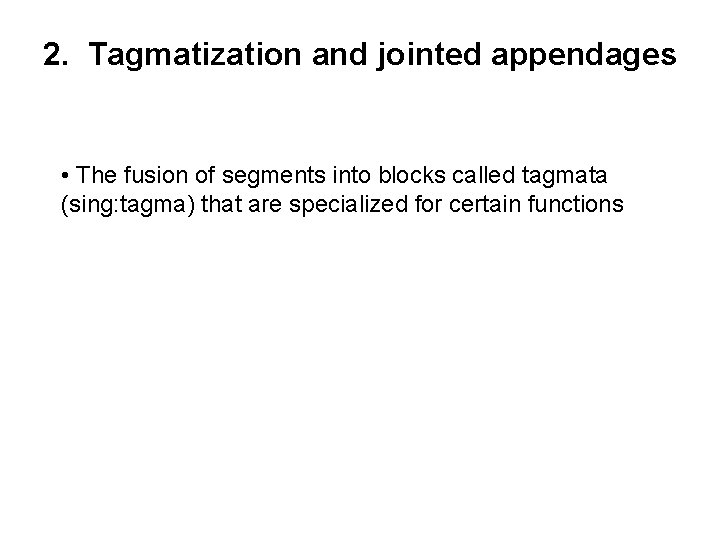 2. Tagmatization and jointed appendages • The fusion of segments into blocks called tagmata