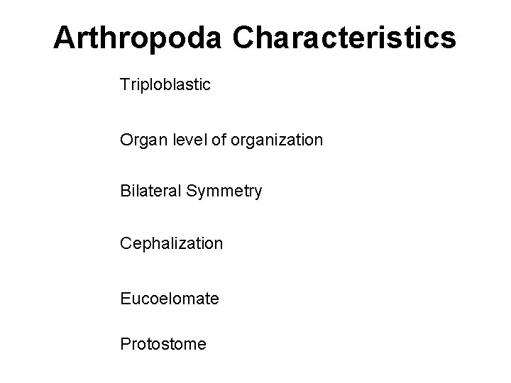 Arthropoda Characteristics Triploblastic Organ level of organization Bilateral Symmetry Cephalization Eucoelomate Protostome 