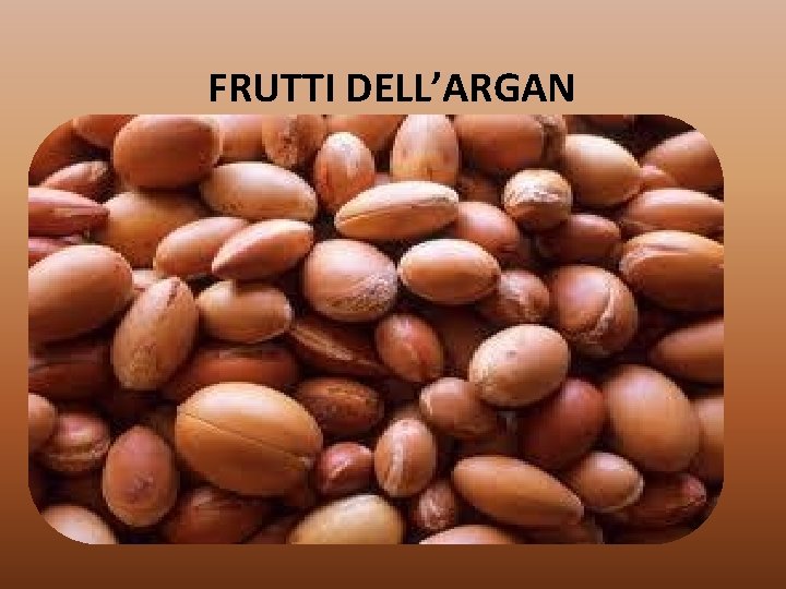 FRUTTI DELL’ARGAN 