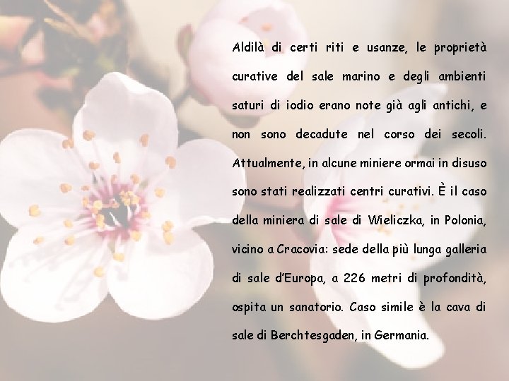 Aldilà di certi riti e usanze, le proprietà curative del sale marino e degli