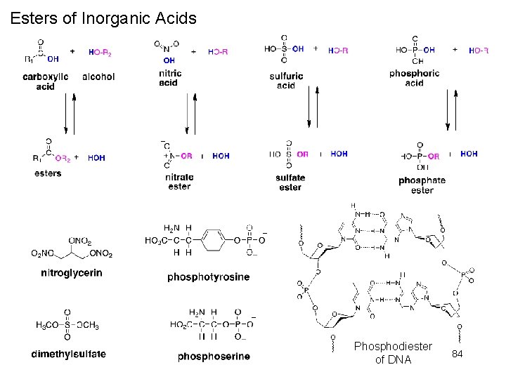 Esters of Inorganic Acids Phosphodiester of DNA 84 Esters of Inorganic Acids Phosphodiester of DNA 84