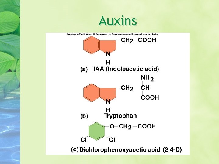 Auxins Auxins