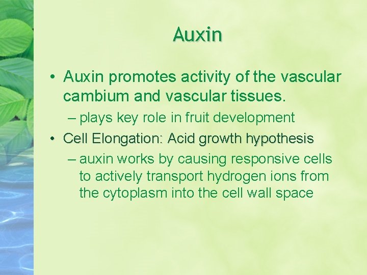 Auxin • Auxin promotes activity of the vascular cambium and vascular tissues. – plays Auxin • Auxin promotes activity of the vascular cambium and vascular tissues. – plays