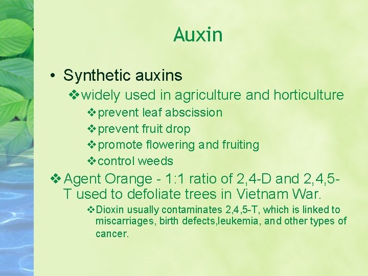 Auxin • Synthetic auxins vwidely used in agriculture and horticulture vprevent leaf abscission vprevent Auxin • Synthetic auxins vwidely used in agriculture and horticulture vprevent leaf abscission vprevent