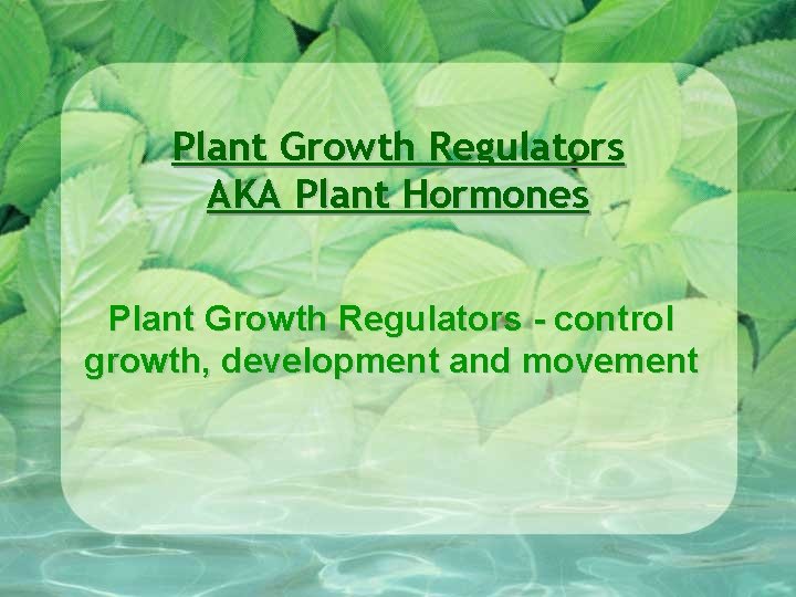 Plant Growth Regulators AKA Plant Hormones Plant Growth Regulators - control growth, development and Plant Growth Regulators AKA Plant Hormones Plant Growth Regulators - control growth, development and