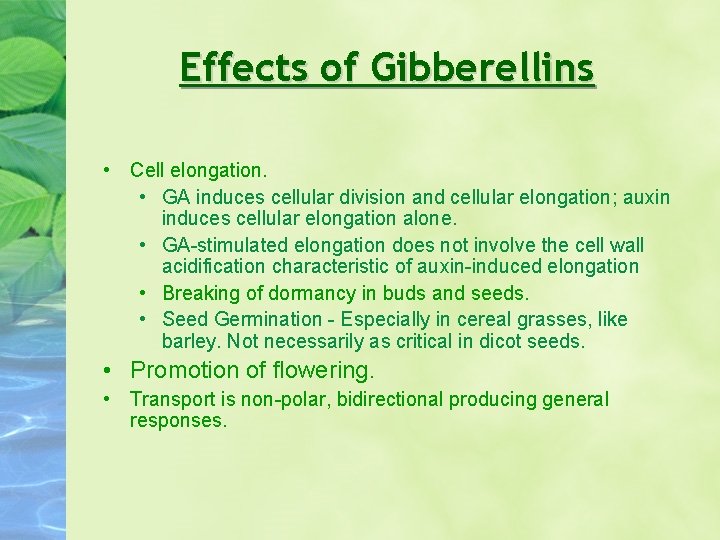 Effects of Gibberellins • Cell elongation. • GA induces cellular division and cellular elongation; Effects of Gibberellins • Cell elongation. • GA induces cellular division and cellular elongation;