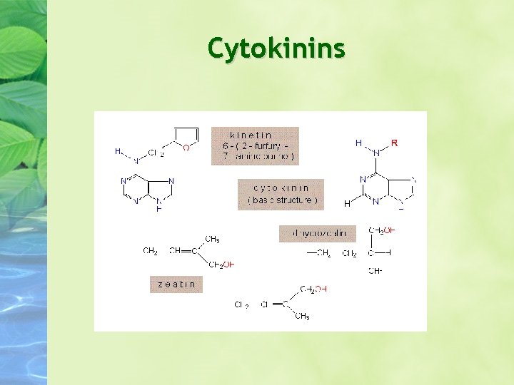 Cytokinins Cytokinins