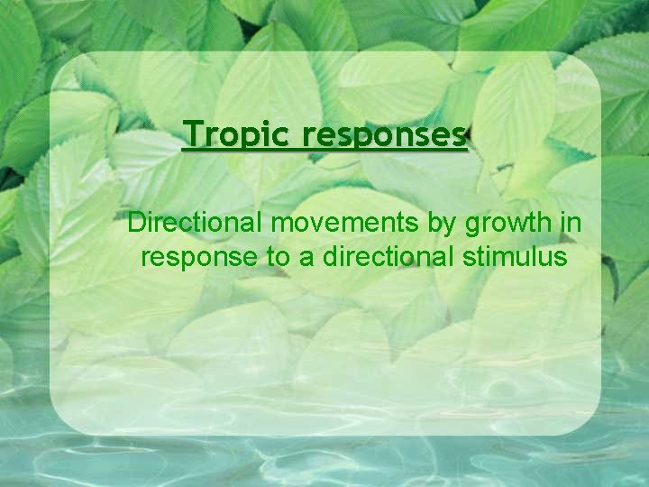 Tropic responses Directional movements by growth in response to a directional stimulus Tropic responses Directional movements by growth in response to a directional stimulus
