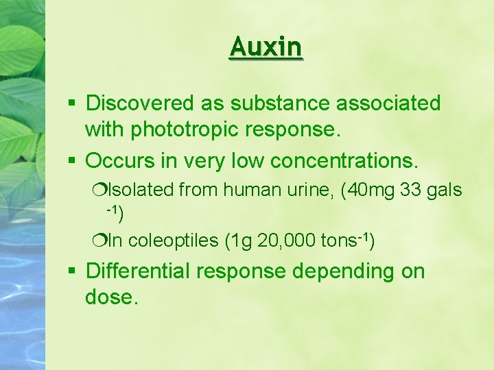 Auxin § Discovered as substance associated with phototropic response. § Occurs in very low Auxin § Discovered as substance associated with phototropic response. § Occurs in very low