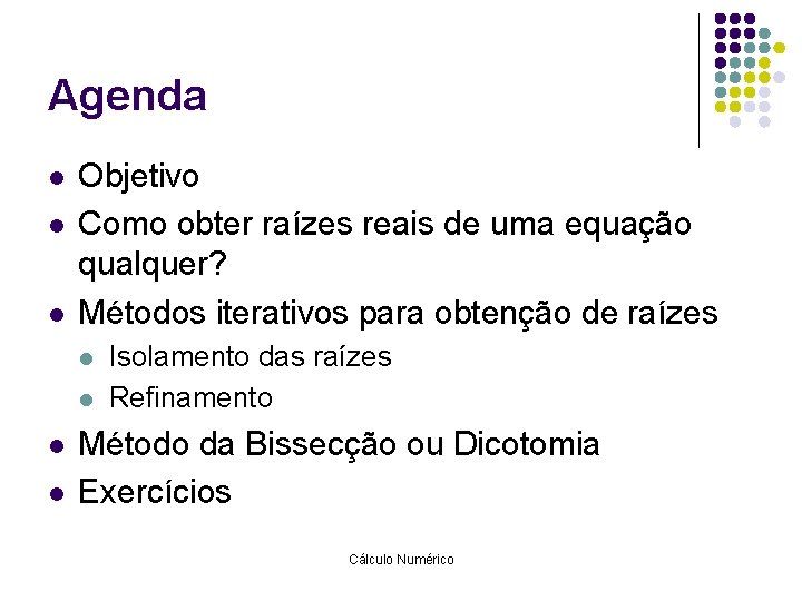 Agenda l l l Objetivo Como obter raízes reais de uma equação qualquer? Métodos