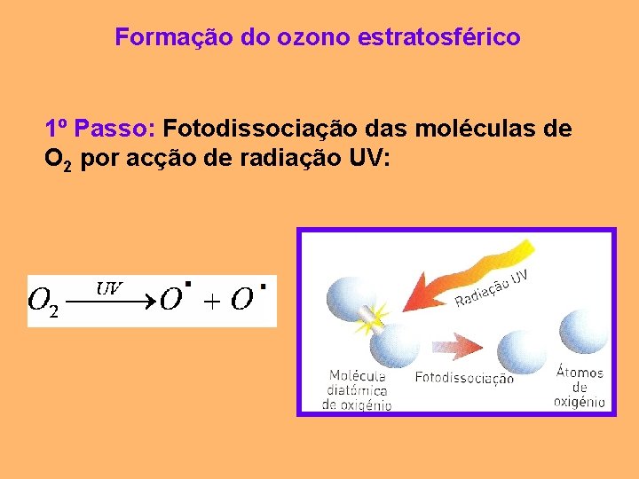 Formação do ozono estratosférico 1º Passo: Fotodissociação das moléculas de O 2 por acção