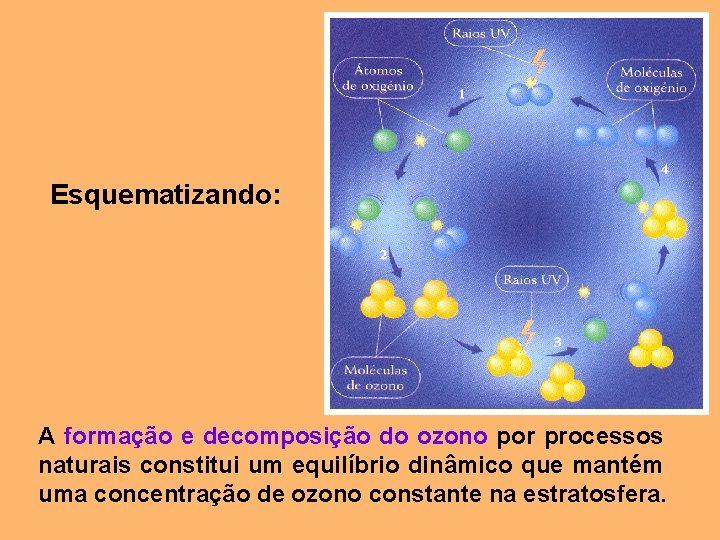 Esquematizando: A formação e decomposição do ozono por processos naturais constitui um equilíbrio dinâmico