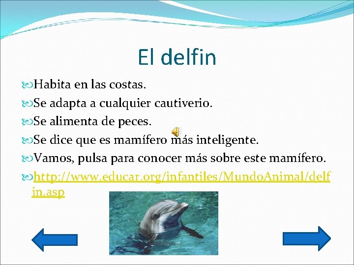 El delfin Habita en las costas. Se adapta a cualquier cautiverio. Se alimenta de