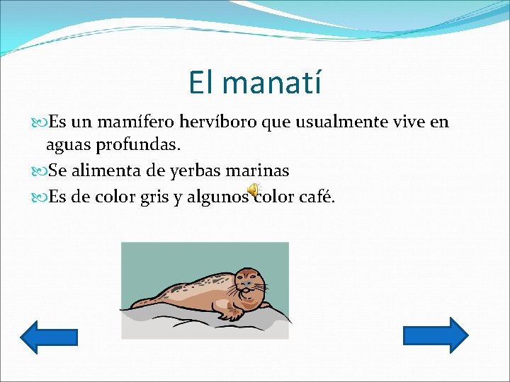 El manatí Es un mamífero hervíboro que usualmente vive en aguas profundas. Se alimenta