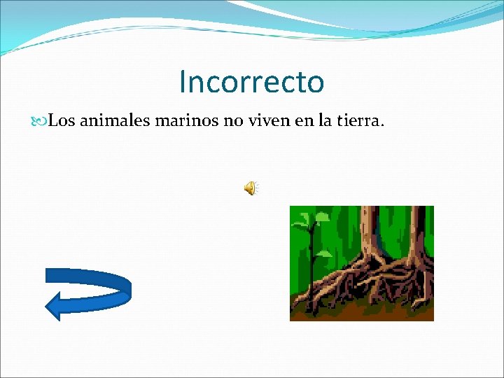 Incorrecto Los animales marinos no viven en la tierra. 