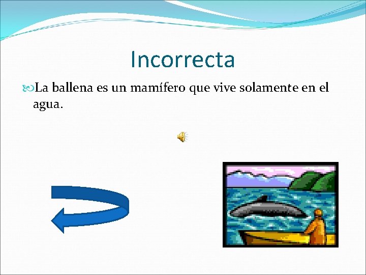 Incorrecta La ballena es un mamífero que vive solamente en el agua. 