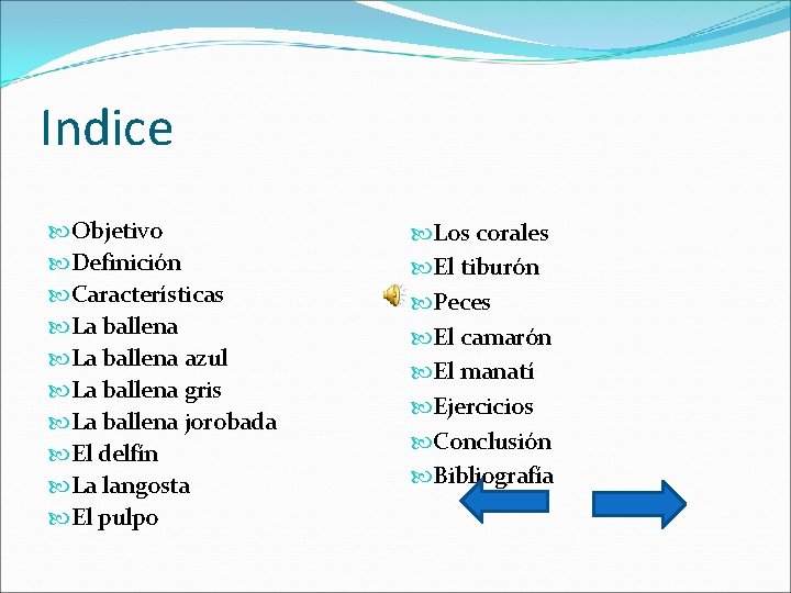 Indice Objetivo Definición Características La ballena azul La ballena gris La ballena jorobada El