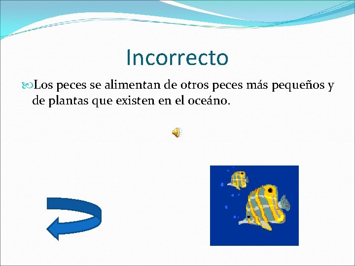 Incorrecto Los peces se alimentan de otros peces más pequeños y de plantas que