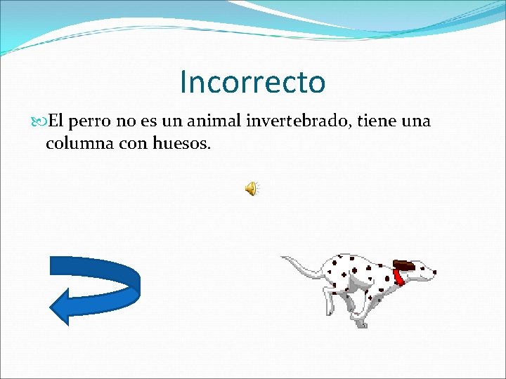 Incorrecto El perro no es un animal invertebrado, tiene una columna con huesos. 