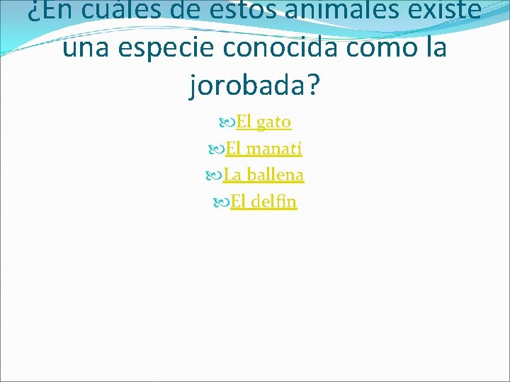 ¿En cuáles de estos animales existe una especie conocida como la jorobada? El gato