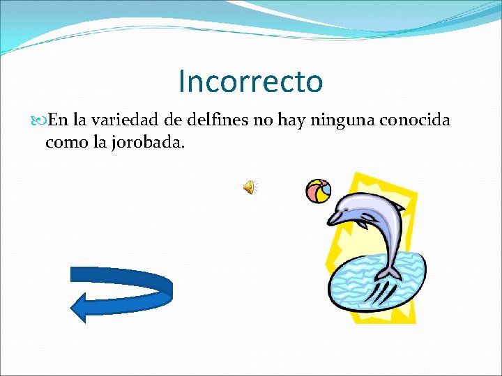 Incorrecto En la variedad de delfines no hay ninguna conocida como la jorobada. 