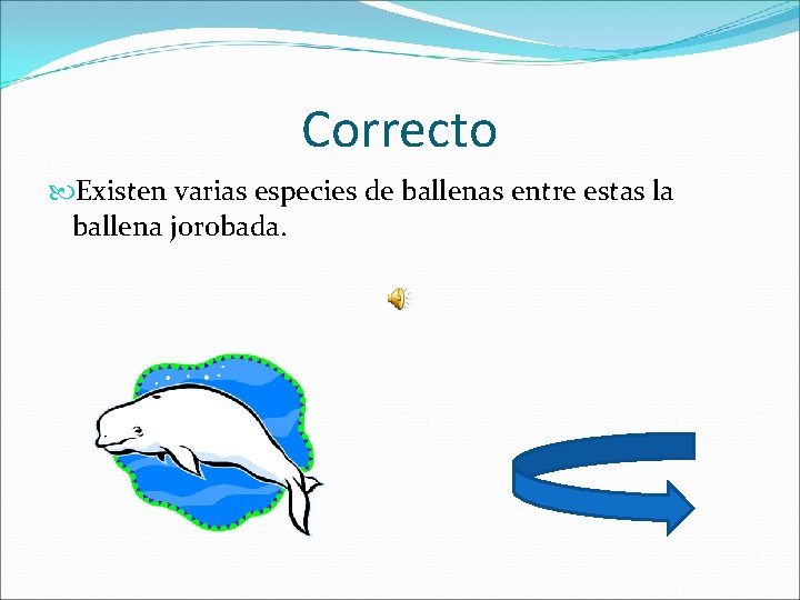 Correcto Existen varias especies de ballenas entre estas la ballena jorobada. 