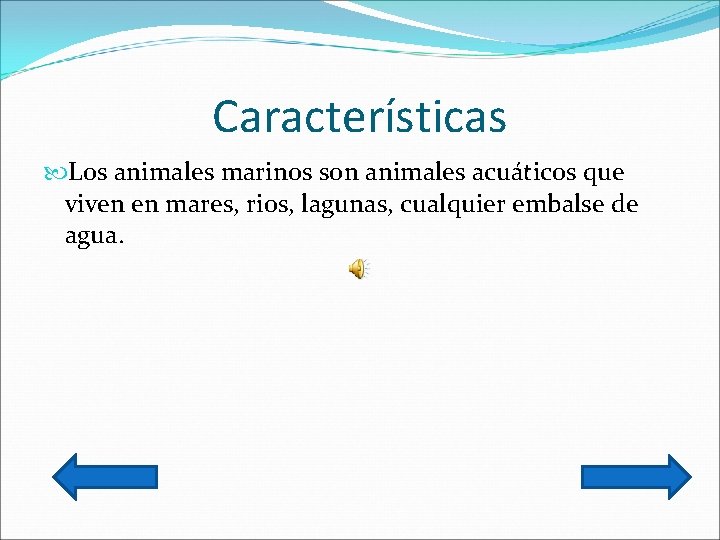 Características Los animales marinos son animales acuáticos que viven en mares, rios, lagunas, cualquier