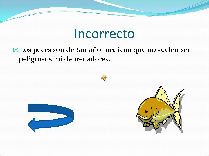 Incorrecto Los peces son de tamaño mediano que no suelen ser peligrosos ni depredadores.