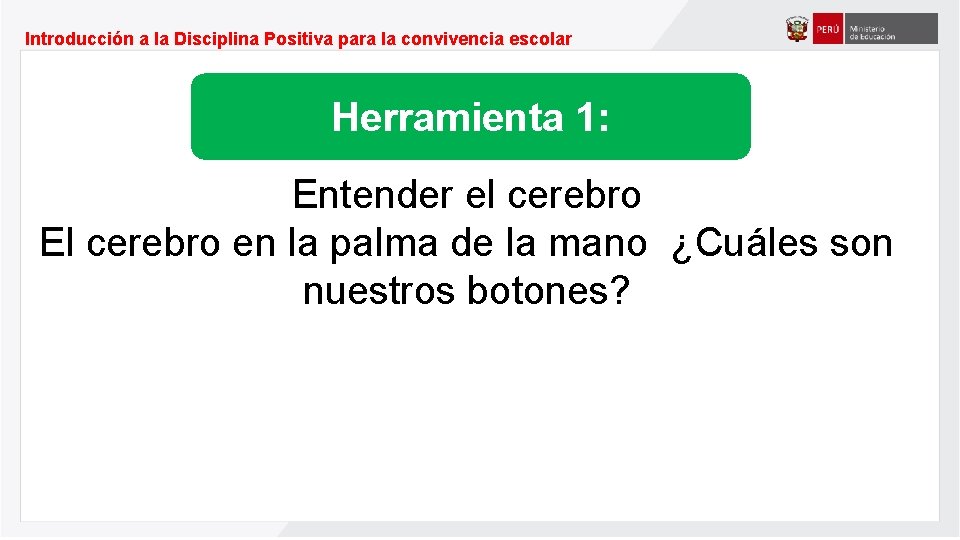 Introducción a la Disciplina Positiva para la convivencia escolar Herramienta 1: Entender el cerebro