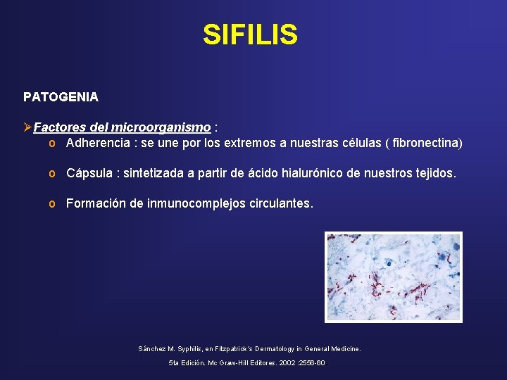 SIFILIS PATOGENIA ØFactores del microorganismo : o Adherencia : se une por los extremos SIFILIS PATOGENIA ØFactores del microorganismo : o Adherencia : se une por los extremos