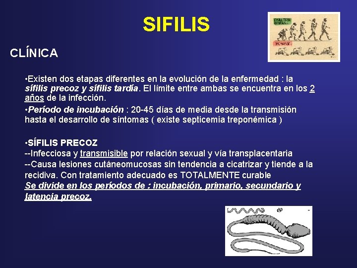 SIFILIS CLÍNICA • Existen dos etapas diferentes en la evolución de la enfermedad : SIFILIS CLÍNICA • Existen dos etapas diferentes en la evolución de la enfermedad :
