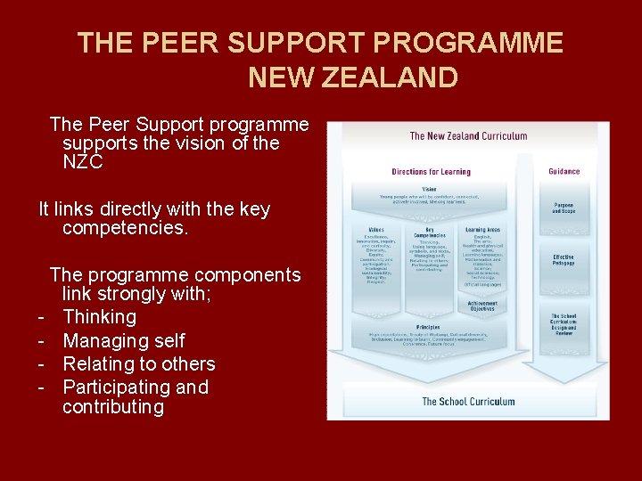 THE PEER SUPPORT PROGRAMME NEW ZEALAND The Peer Support programme supports the vision of
