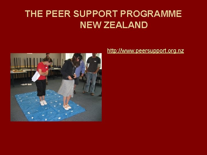 THE PEER SUPPORT PROGRAMME NEW ZEALAND http: //www. peersupport. org. nz 